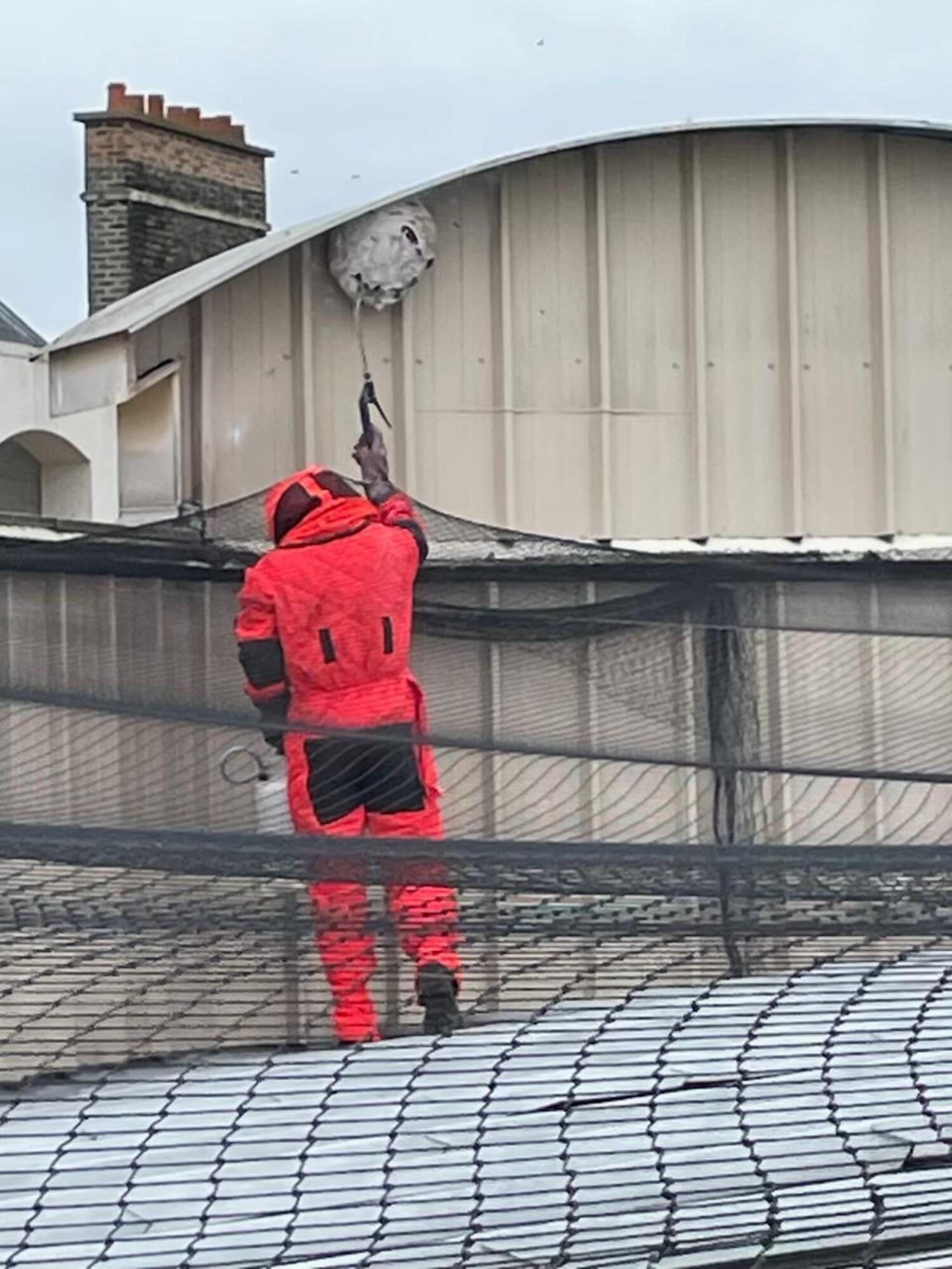Professionnel en tenue d'intervention orange fluo en train de vaporiser un produit désinsectisant dans un nid de frelon accroché à un toit en tôle